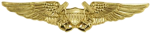 File:Naval Flight Officer Badge.jpg